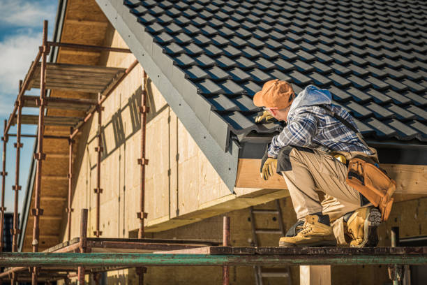 Best Skylight Installation and Repair  in Arnold, PA